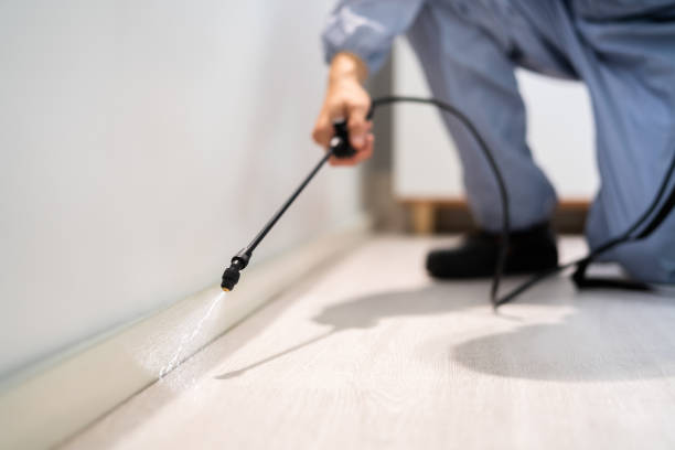 Certified termite inspector examining foundation in Jersey City